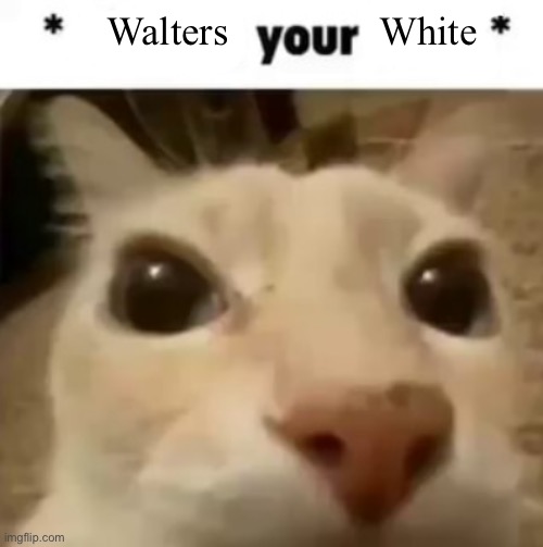 X your balls | Walters               White | image tagged in x your balls | made w/ Imgflip meme maker