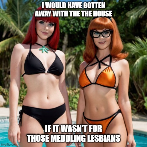 DAPHNE AND VELMA ON GILLIGAN'S ISLAND | I WOULD HAVE GOTTEN AWAY WITH THE THE HOUSE; IF IT WASN'T FOR THOSE MEDDLING LESBIANS | image tagged in daphne and velma on gilligan's island | made w/ Imgflip meme maker