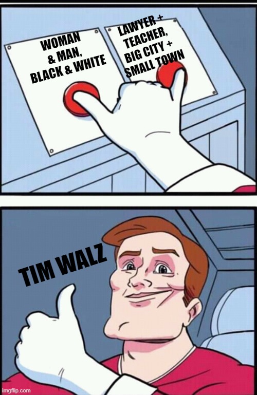 Both button rocks | LAWYER +
TEACHER,
BIG CITY + 
SMALL TOWN; WOMAN & MAN,
BLACK & WHITE; TIM WALZ | image tagged in both button rocks | made w/ Imgflip meme maker