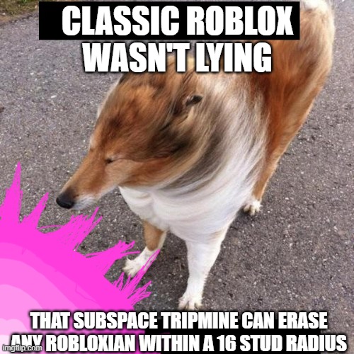 She wasn't lying ass can fart blank | CLASSIC ROBLOX WASN'T LYING; THAT SUBSPACE TRIPMINE CAN ERASE ANY ROBLOXIAN WITHIN A 16 STUD RADIUS | image tagged in she wasn't lying ass can fart blank | made w/ Imgflip meme maker
