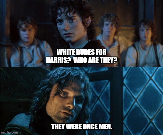 LOTR: They were once men | WHITE DUDES FOR HARRIS?  WHO ARE THEY? THEY WERE ONCE MEN. | image tagged in lotr they were once men | made w/ Imgflip meme maker