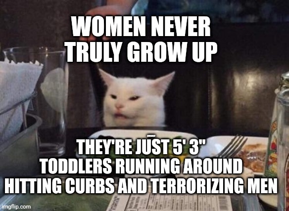 Smudge that darn cat | WOMEN NEVER TRULY GROW UP; THEY'RE JUST 5' 3" TODDLERS RUNNING AROUND HITTING CURBS AND TERRORIZING MEN | image tagged in smudge that darn cat | made w/ Imgflip meme maker