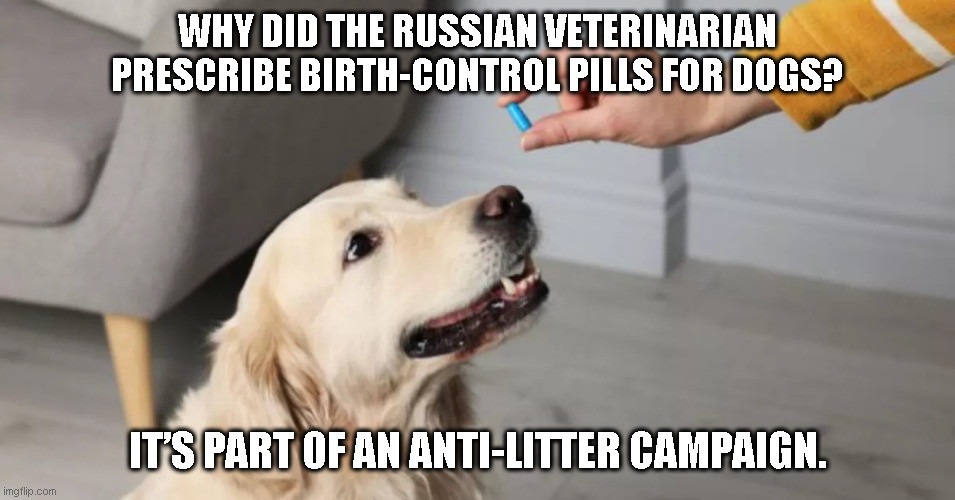 Russian Veterinarian | WHY DID THE RUSSIAN VETERINARIAN PRESCRIBE BIRTH-CONTROL PILLS FOR DOGS? IT’S PART OF AN ANTI-LITTER CAMPAIGN. | image tagged in dog and pill | made w/ Imgflip meme maker