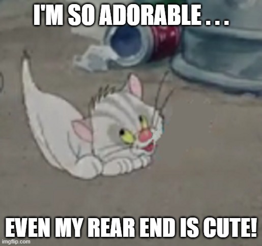 Another Adorable Cartoon Kitten Image | I'M SO ADORABLE . . . EVEN MY REAR END IS CUTE! | image tagged in kitten,cartoon kitten,cute | made w/ Imgflip meme maker