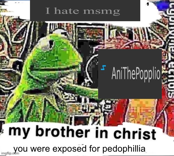 My brother in Christ | you were exposed for pedophillia | image tagged in my brother in christ | made w/ Imgflip meme maker