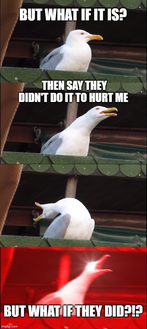 Inhaling Seagull | BUT WHAT IF IT IS? THEN SAY THEY DIDN'T DO IT TO HURT ME; BUT WHAT IF THEY DID?!? | image tagged in memes,inhaling seagull | made w/ Imgflip meme maker