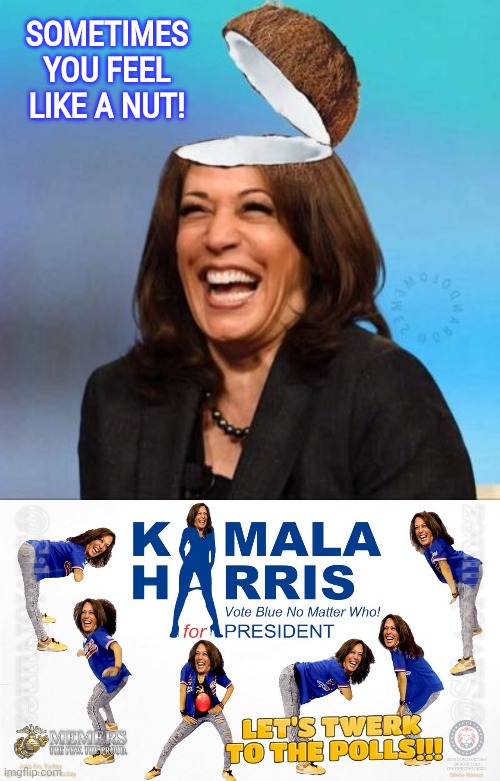 Hobama Harris feels like a nut | SOMETIMES YOU FEEL LIKE A NUT! | image tagged in kamala harris,coconut | made w/ Imgflip meme maker