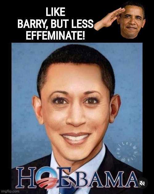 Hobama Harris - like Obama but less effeminate | LIKE BARRY, BUT LESS EFFEMINATE! | image tagged in black box,hobama crewcut,kamala harris | made w/ Imgflip meme maker