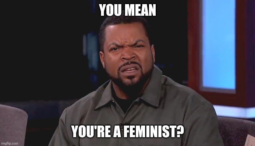 Really? Ice Cube | YOU MEAN YOU'RE A FEMINIST? | image tagged in really ice cube | made w/ Imgflip meme maker