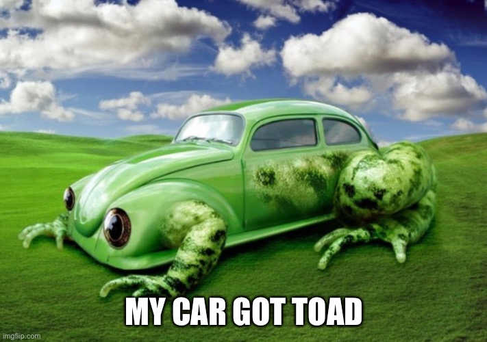 Towed* | MY CAR GOT TOAD | image tagged in puns,toad,car | made w/ Imgflip meme maker