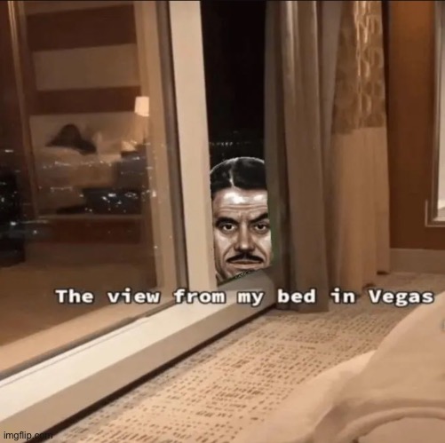 View from my Hotel in New Vegas | image tagged in fallout new vegas,fear and loathing in las vegas,why are you reading the tags | made w/ Imgflip meme maker