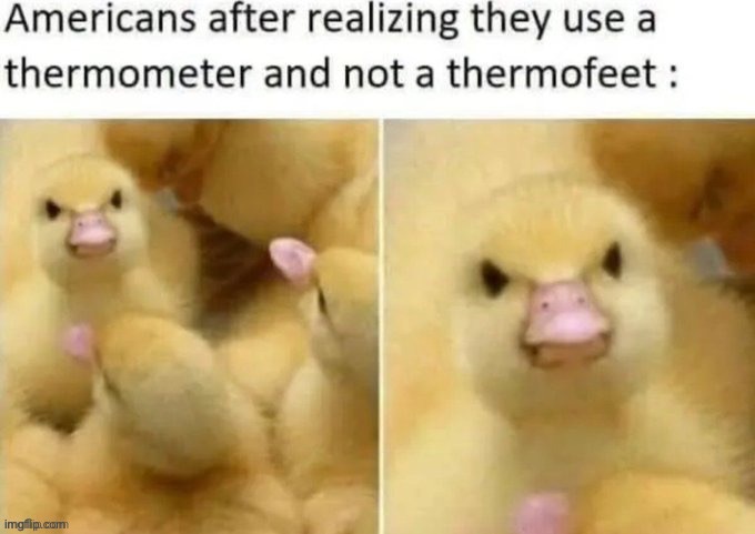 Ah, here we go again! | image tagged in memes,funny,animals,americans,stereotypes | made w/ Imgflip meme maker