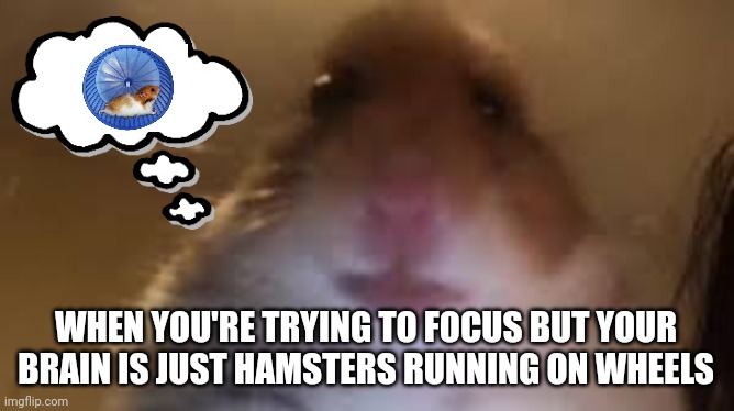 Focus | WHEN YOU'RE TRYING TO FOCUS BUT YOUR BRAIN IS JUST HAMSTERS RUNNING ON WHEELS | image tagged in facetime hamster,hamster,emergency meeting among us,board room meeting,online school,group projects | made w/ Imgflip meme maker