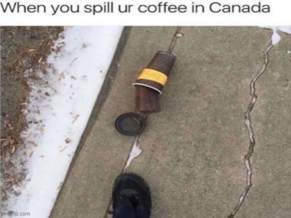 Canada | image tagged in canada,coffe | made w/ Imgflip meme maker