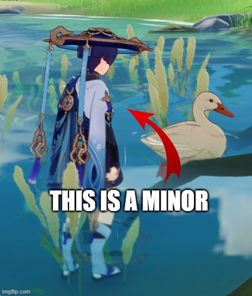 Do Something, Duck | THIS IS A MINOR | image tagged in do something duck | made w/ Imgflip meme maker