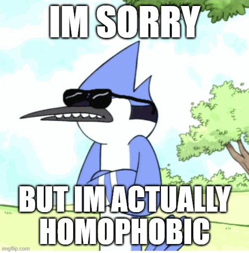 mordecai regular show shades lame | IM SORRY; BUT IM ACTUALLY HOMOPHOBIC | image tagged in mordecai regular show shades lame | made w/ Imgflip meme maker