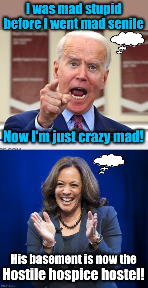 The state of America's "leaders" | I was mad stupid before I went mad senile; Now I'm just crazy mad! His basement is now the; Hostile hospice hostel! | image tagged in joe biden no malarkey,kamala harris laughing,memes,democrats,leadership,dementia | made w/ Imgflip meme maker