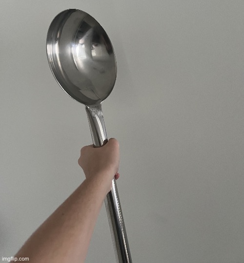 Memesoon’s spoon | image tagged in memesoon s spoon | made w/ Imgflip meme maker