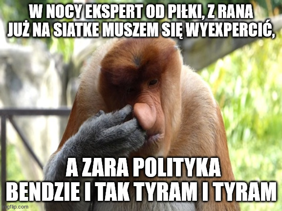 Proboscious Monkey | W NOCY EKSPERT OD PIŁKI, Z RANA JUŻ NA SIATKE MUSZEM SIĘ WYEXPERCIĆ, A ZARA POLITYKA BENDZIE I TAK TYRAM I TYRAM | image tagged in proboscious monkey | made w/ Imgflip meme maker