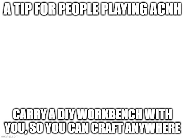 A TIP FOR PEOPLE PLAYING ACNH; CARRY A DIY WORKBENCH WITH YOU, SO YOU CAN CRAFT ANYWHERE | made w/ Imgflip meme maker