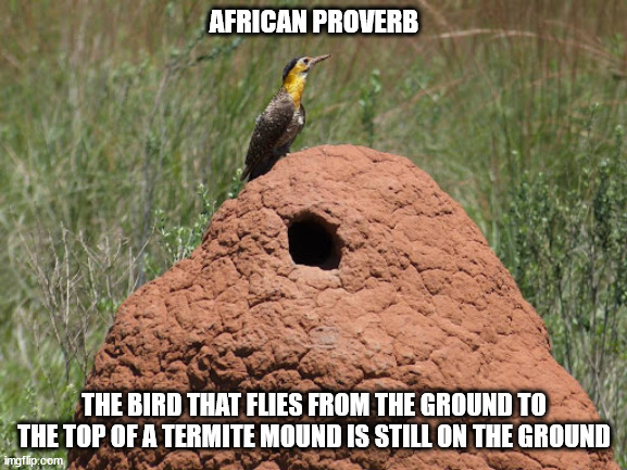 Still on the Ground 01 | AFRICAN PROVERB; THE BIRD THAT FLIES FROM THE GROUND TO THE TOP OF A TERMITE MOUND IS STILL ON THE GROUND | image tagged in campo flicker colaptes campestris fauna paraguay,african proverb,bird,termite mound | made w/ Imgflip meme maker