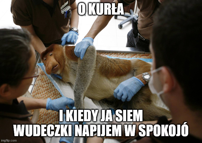 Nosacz zawał | O KURŁA; I KIEDY JA SIEM WUDECZKI NAPIJEM W SPOKOJÓ | image tagged in nosacz zawa | made w/ Imgflip meme maker