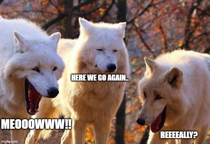 Laughing wolf | HERE WE GO AGAIN.. MEOOOWWW!! REEEEALLY? | image tagged in laughing wolf | made w/ Imgflip meme maker