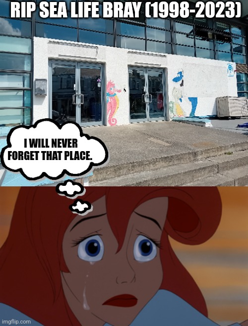 Ariel reacts to Sea Life's 2023 closure in Bray, Co. Wicklow, Ireland. She looks really sad. | RIP SEA LIFE BRAY (1998-2023); I WILL NEVER FORGET THAT PLACE. | image tagged in ariel | made w/ Imgflip meme maker