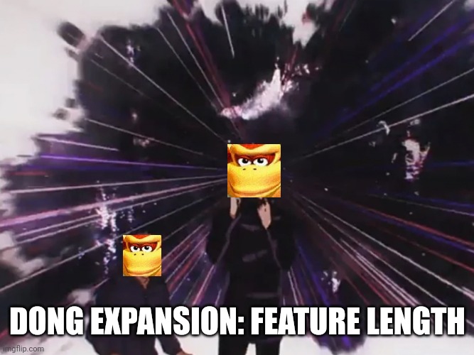 ㅤ | DONG EXPANSION: FEATURE LENGTH | image tagged in domain expansion infinite,expand dong | made w/ Imgflip meme maker