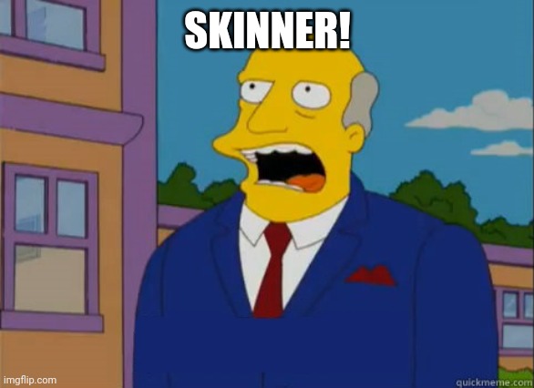 Chalmer | SKINNER! | image tagged in chalmer | made w/ Imgflip meme maker