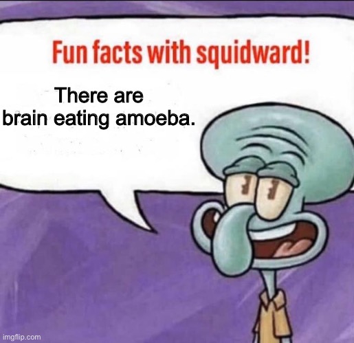 Fun Facts with Squidward | There are brain eating amoeba. | image tagged in fun facts with squidward | made w/ Imgflip meme maker