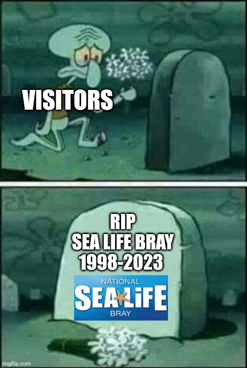 grave spongebob | VISITORS; RIP
SEA LIFE BRAY
1998-2023 | image tagged in grave spongebob | made w/ Imgflip meme maker