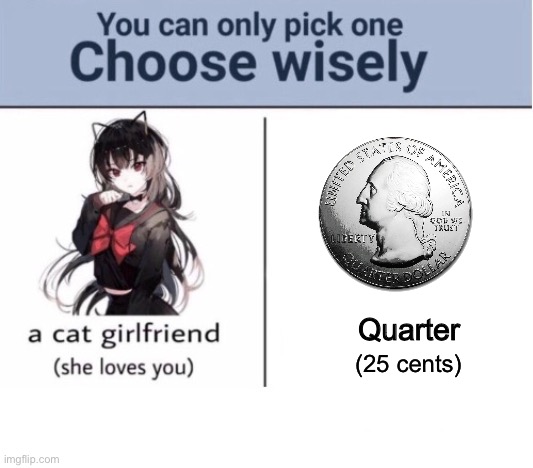 Choose wisely | Quarter; (25 cents) | image tagged in choose wisely | made w/ Imgflip meme maker