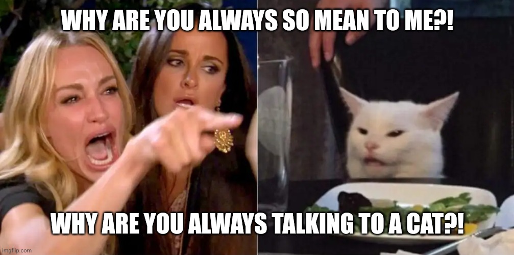 Talk to cat | WHY ARE YOU ALWAYS SO MEAN TO ME?! WHY ARE YOU ALWAYS TALKING TO A CAT?! | image tagged in screaming lady n cat | made w/ Imgflip meme maker