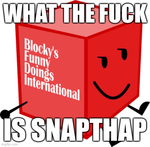 Blocky's Funny Doings International | WHAT THE FUCK IS SNAPTHAP | image tagged in blocky's funny doings international | made w/ Imgflip meme maker