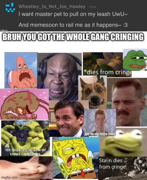image tagged in the gang cringes | made w/ Imgflip meme maker