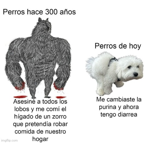 8yunxg.jpg