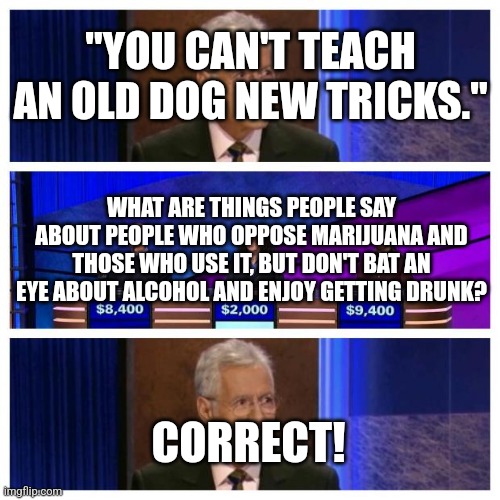 Jeopardy | "YOU CAN'T TEACH AN OLD DOG NEW TRICKS."; WHAT ARE THINGS PEOPLE SAY ABOUT PEOPLE WHO OPPOSE MARIJUANA AND THOSE WHO USE IT, BUT DON'T BAT AN EYE ABOUT ALCOHOL AND ENJOY GETTING DRUNK? CORRECT! | image tagged in jeopardy | made w/ Imgflip meme maker