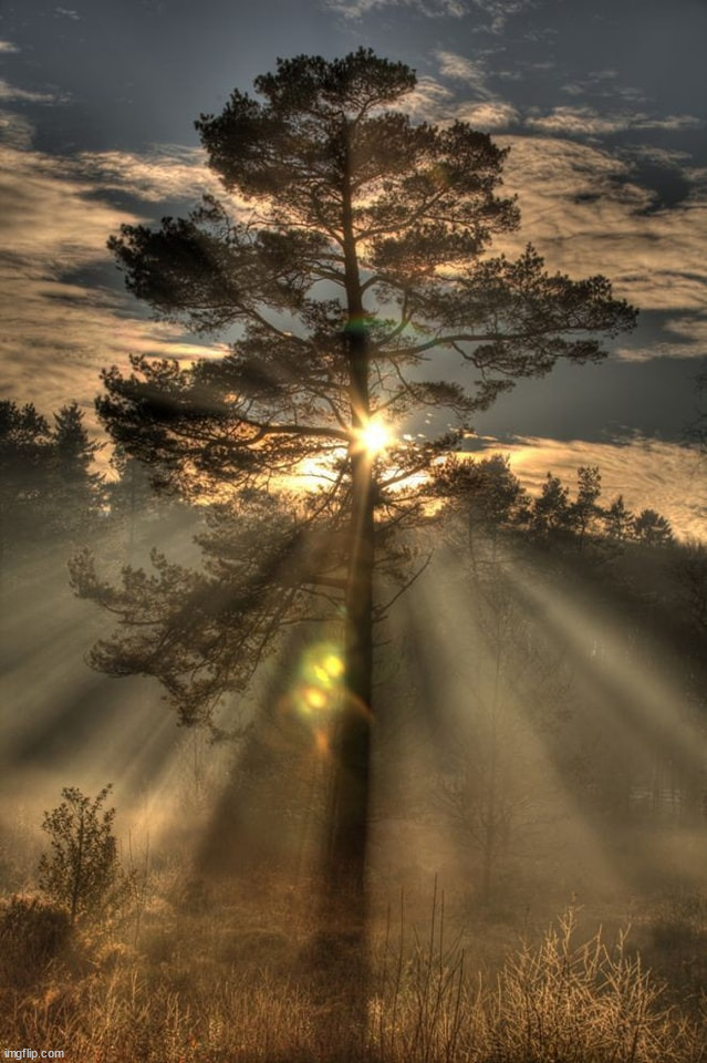 image tagged in awesome | made w/ Imgflip meme maker