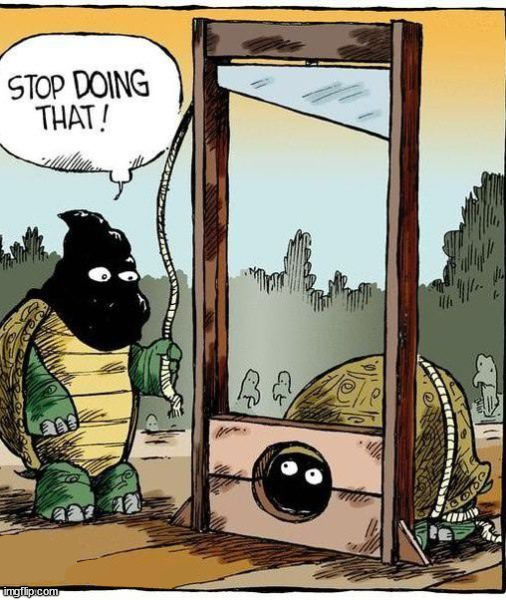 Turtling | image tagged in comics/cartoons | made w/ Imgflip meme maker