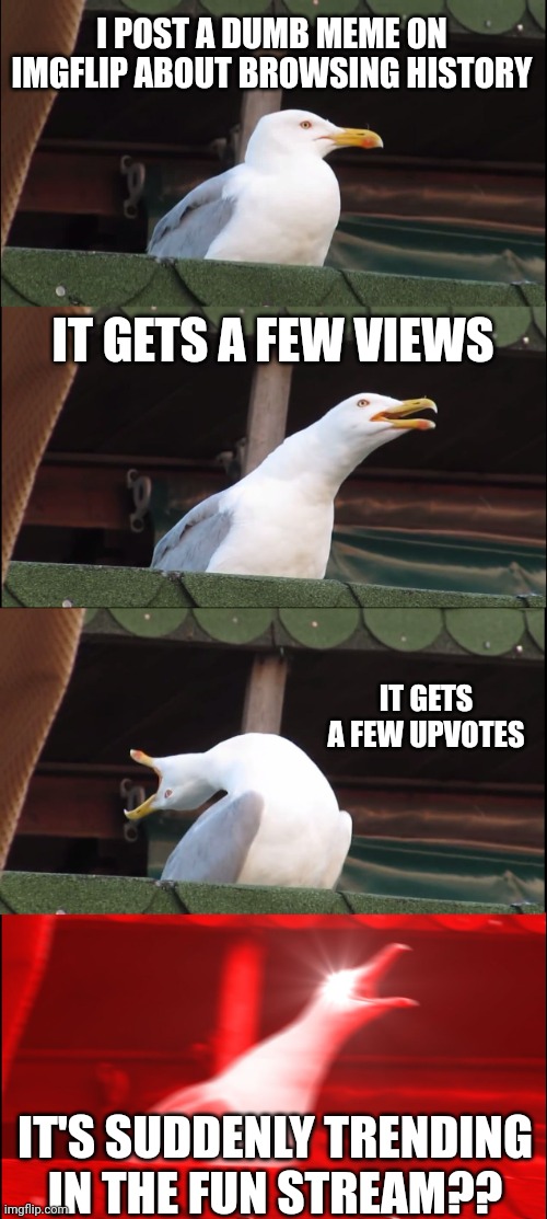 Inhaling Seagull Meme | I POST A DUMB MEME ON IMGFLIP ABOUT BROWSING HISTORY; IT GETS A FEW VIEWS; IT GETS A FEW UPVOTES; IT'S SUDDENLY TRENDING IN THE FUN STREAM?? | image tagged in memes,inhaling seagull,imgflip trends | made w/ Imgflip meme maker