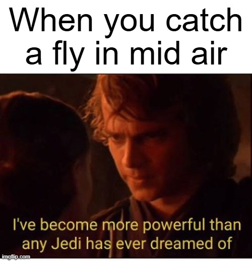 I've become more powerful-Star Wars  | When you catch a fly in mid air | image tagged in i've become more powerful-star wars | made w/ Imgflip meme maker