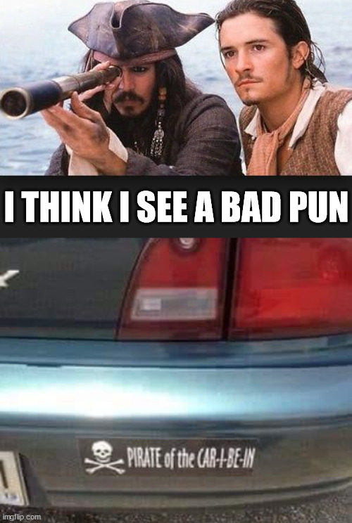 Pirate | image tagged in eyeroll | made w/ Imgflip meme maker