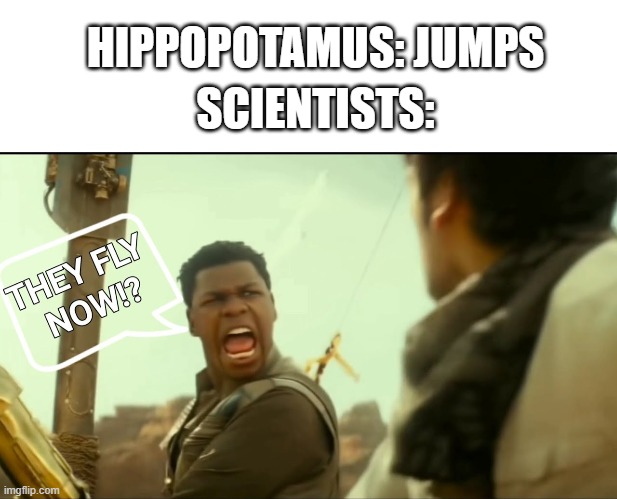 HIPPOPOTAMUS: JUMPS; SCIENTISTS: | image tagged in memes,blank transparent square,they fly now - finn,hippo,hippopotamus,star wars | made w/ Imgflip meme maker