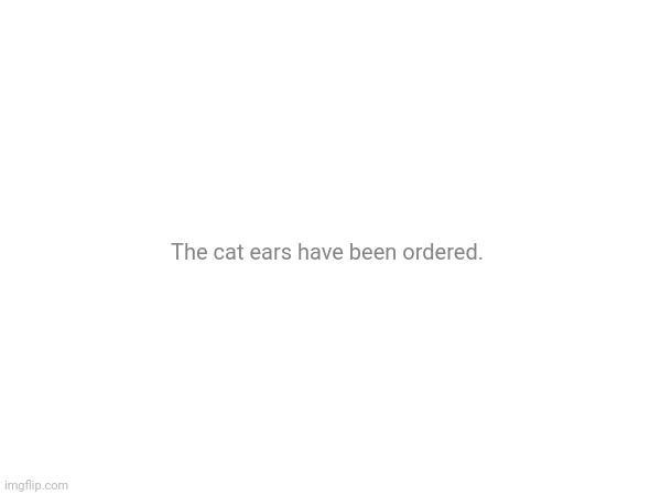 The cat ears have been ordered. | made w/ Imgflip meme maker