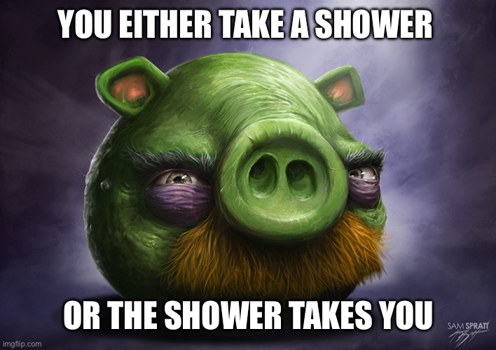 Creepy shower | YOU EITHER TAKE A SHOWER; OR THE SHOWER TAKES YOU | image tagged in realistic angry birds,shower,ridiculous,you have been eternally cursed for reading the tags | made w/ Imgflip meme maker