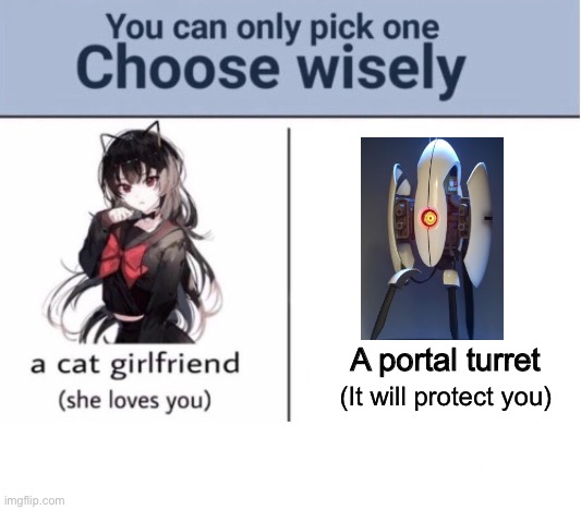 Choose wisely | A portal turret; (It will protect you) | image tagged in choose wisely | made w/ Imgflip meme maker