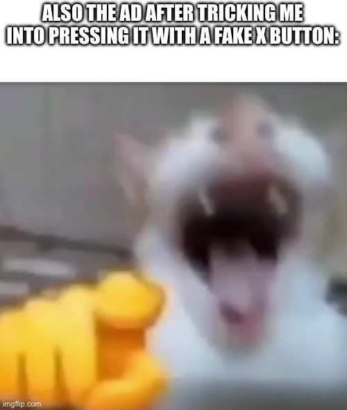 Cat pointing and laughing | ALSO THE AD AFTER TRICKING ME INTO PRESSING IT WITH A FAKE X BUTTON: | image tagged in cat pointing and laughing | made w/ Imgflip meme maker