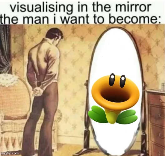 h | image tagged in visualising in the mirror the man i want to become | made w/ Imgflip meme maker