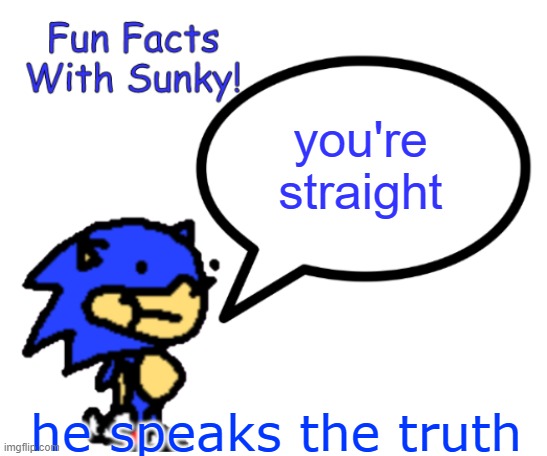 I sent this to my absolutely gay guy bff :0 | you're straight; he speaks the truth | image tagged in fun facts with sunky | made w/ Imgflip meme maker